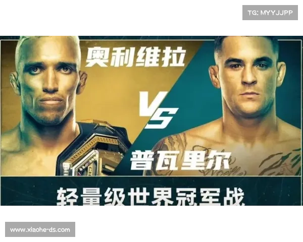 自由搏击赛事全面盘点：全球顶级赛事有哪些一览包括UFC等详细介绍