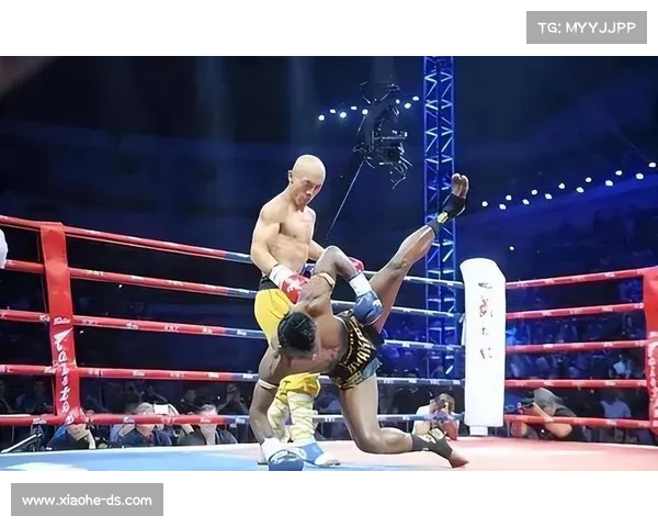 一龙赛事全集—一龙赛事直播