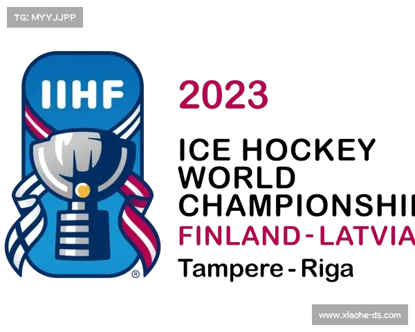 冰球比赛分为哪三个区域;冰球赛事全盘点探索世界顶级联赛锦标赛与奥运会