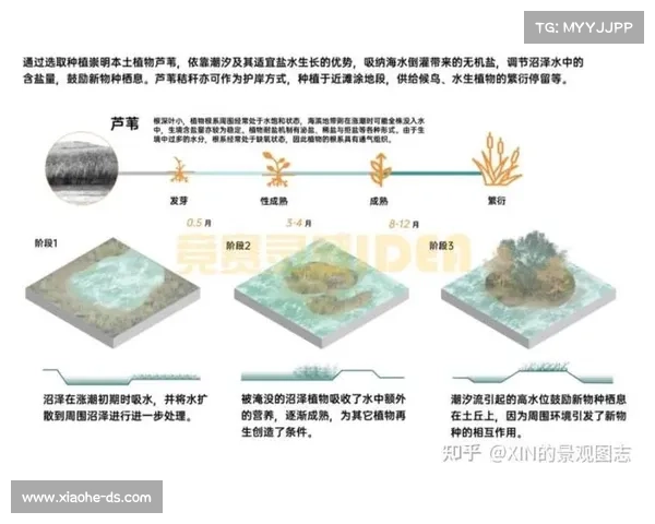 赛事研究要素、赛事构成要素
